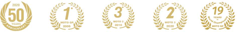 Logo Footer
